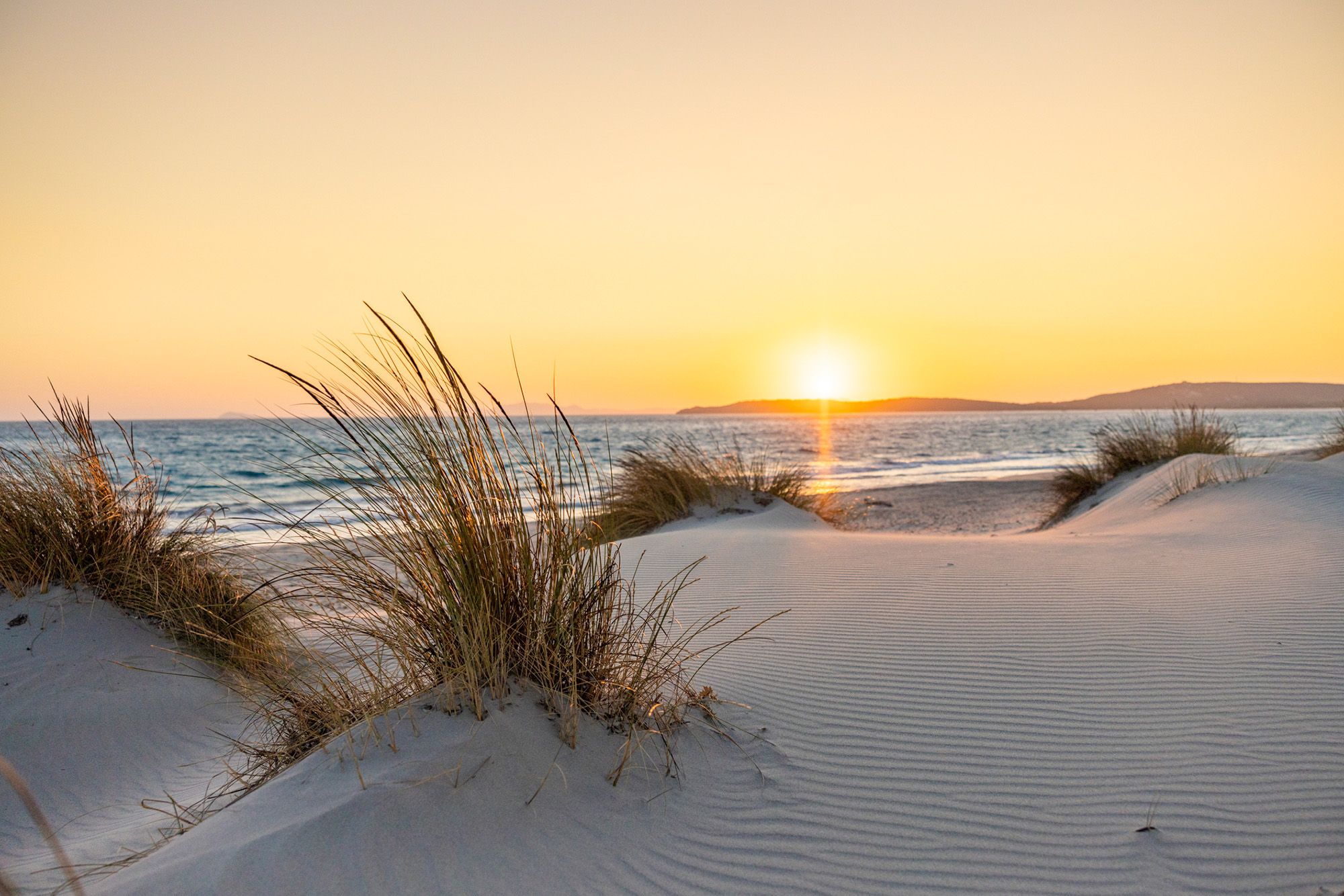 Dünen, dahinter ist das Meer zu sehen