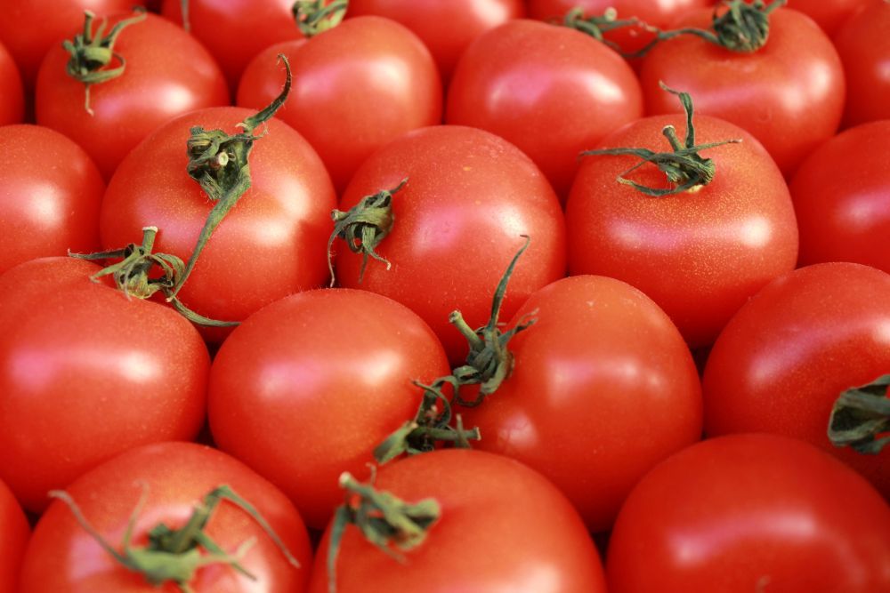 Viele rote Tomaten liegen eng beieinander