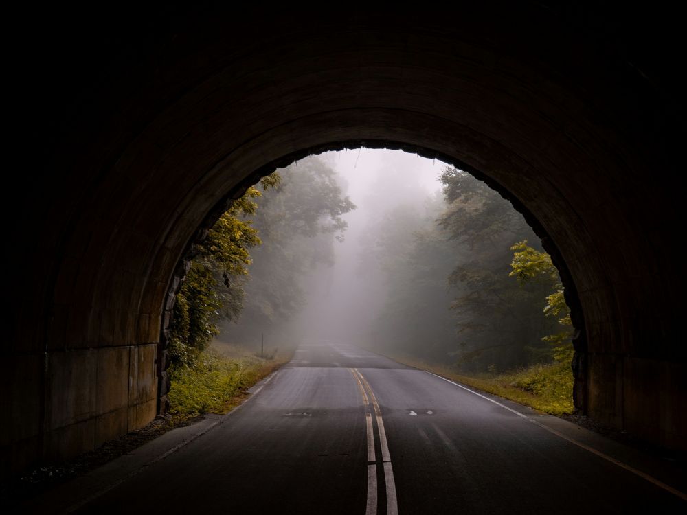 Ein Tunnel führt auf eine Straße in einem nebligen Wald.